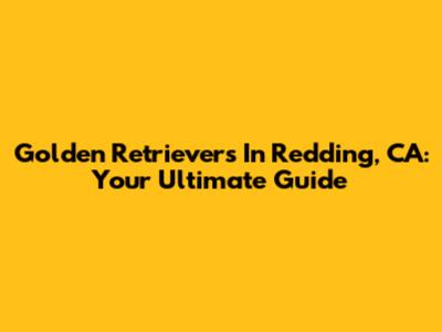 Golden Retrievers In Redding, CA: Your Ultimate Guide