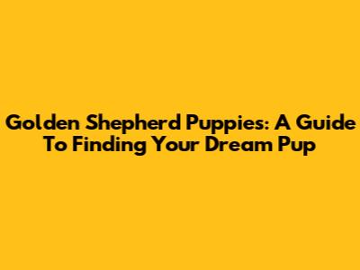 Golden Shepherd Puppies: A Guide To Finding Your Dream Pup