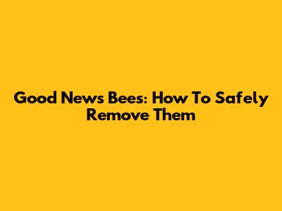 Good News Bees: How To Safely Remove Them