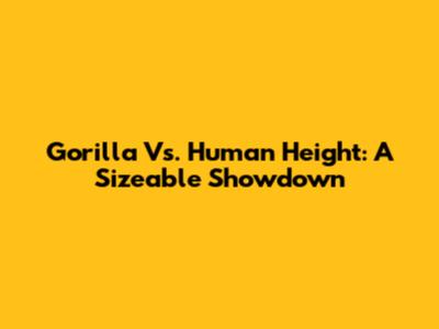 Gorilla Vs. Human Height: A Sizeable Showdown
