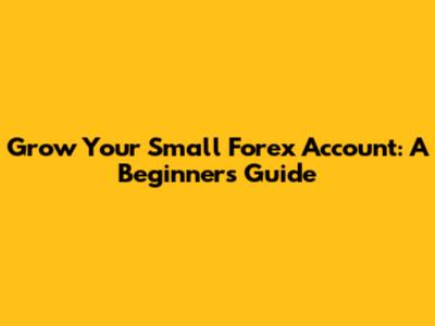 Grow Your Small Forex Account: A Beginner's Guide