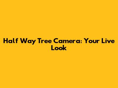 Half Way Tree Camera: Your Live Look