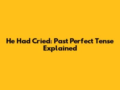 He Had Cried: Past Perfect Tense Explained