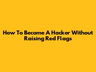How To Become A Hacker Without Raising Red Flags