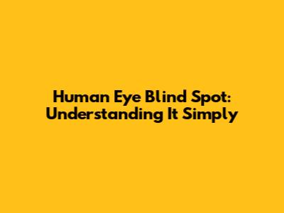 Human Eye Blind Spot: Understanding It Simply