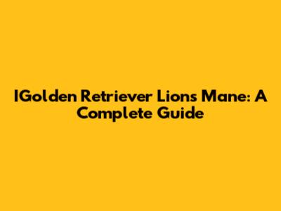IGolden Retriever Lion's Mane: A Complete Guide