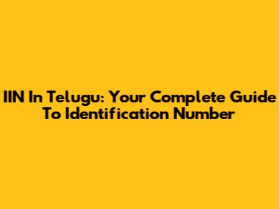 IIN In Telugu: Your Complete Guide To Identification Number
