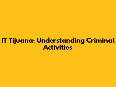 IT Tijuana: Understanding Criminal Activities