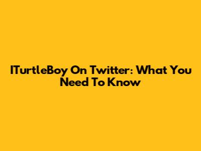 ITurtleBoy On Twitter: What You Need To Know