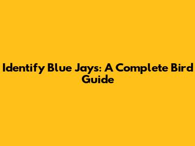 Identify Blue Jays: A Complete Bird Guide