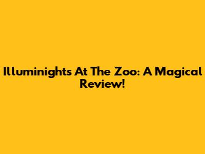 Illuminights At The Zoo: A Magical Review!