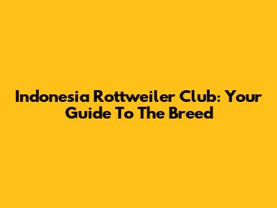 Indonesia Rottweiler Club: Your Guide To The Breed