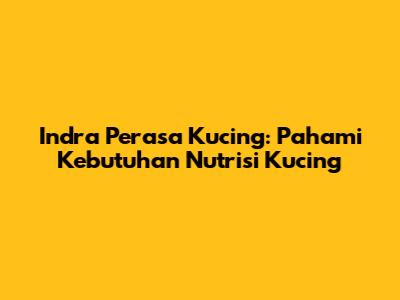 Indra Perasa Kucing: Pahami Kebutuhan Nutrisi Kucing