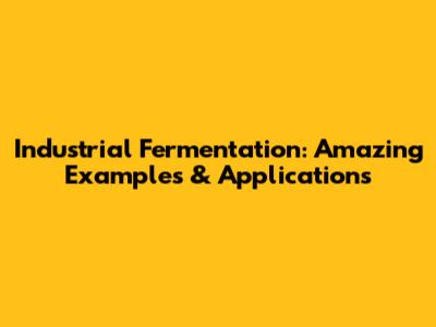 Industrial Fermentation: Amazing Examples & Applications