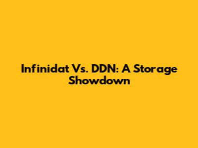 Infinidat Vs. DDN: A Storage Showdown