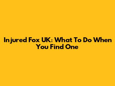 Injured Fox UK: What To Do When You Find One