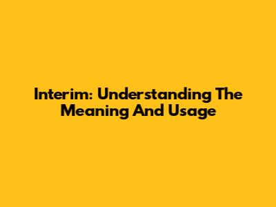 Interim: Understanding The Meaning And Usage