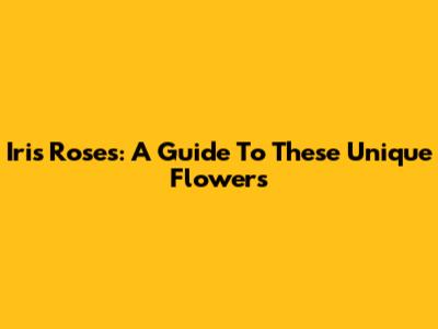 Iris Roses: A Guide To These Unique Flowers