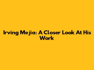 Irving Mejia: A Closer Look At His Work
