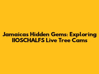 Jamaica's Hidden Gems: Exploring IIOSCHALFS' Live Tree Cams