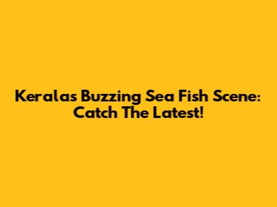 Kerala's Buzzing Sea Fish Scene: Catch The Latest!