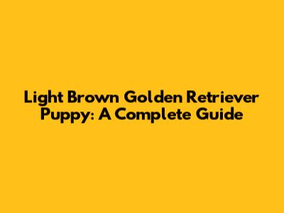 Light Brown Golden Retriever Puppy: A Complete Guide