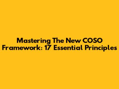 Mastering The New COSO Framework: 17 Essential Principles