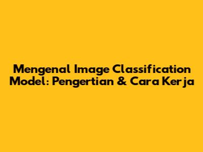 Mengenal Image Classification Model: Pengertian & Cara Kerja