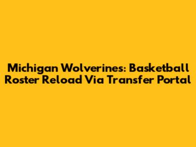 Michigan Wolverines: Basketball Roster Reload Via Transfer Portal