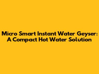Micro Smart Instant Water Geyser: A Compact Hot Water Solution