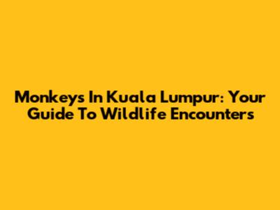 Monkeys In Kuala Lumpur: Your Guide To Wildlife Encounters