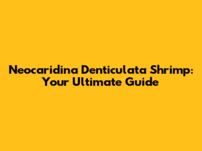 Neocaridina Denticulata Shrimp: Your Ultimate Guide