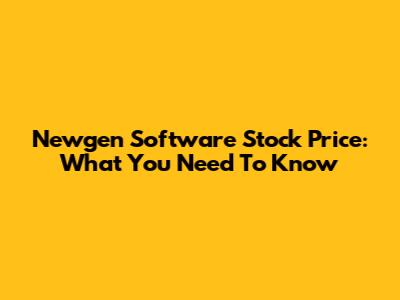 Newgen Software Stock Price: What You Need To Know