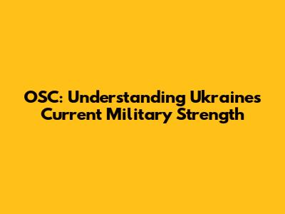 OSC: Understanding Ukraine's Current Military Strength