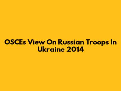 OSCE's View On Russian Troops In Ukraine 2014