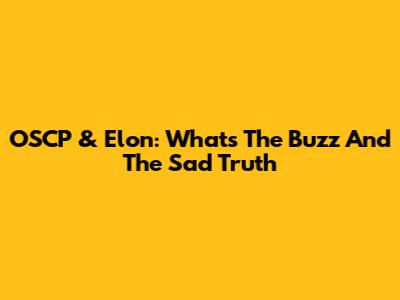 OSCP & Elon: What's The Buzz And The Sad Truth