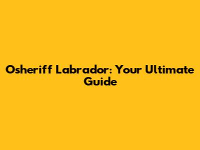 Osheriff Labrador: Your Ultimate Guide