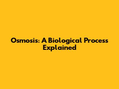 Osmosis: A Biological Process Explained