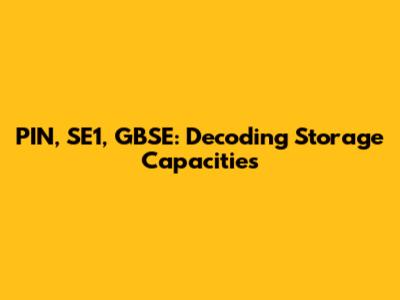 PIN, SE1, GBSE: Decoding Storage Capacities