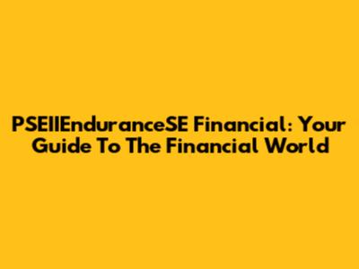PSEIIEnduranceSE Financial: Your Guide To The Financial World