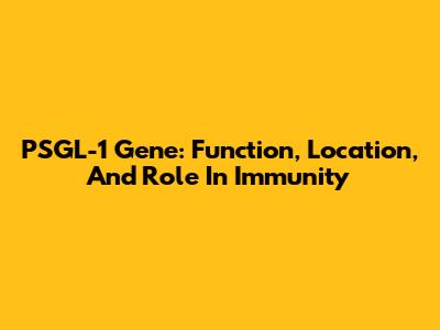 PSGL-1 Gene: Function, Location, And Role In Immunity
