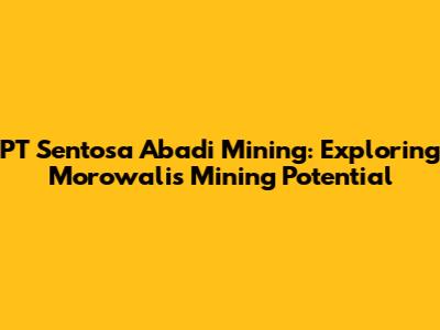 PT Sentosa Abadi Mining: Exploring Morowali's Mining Potential