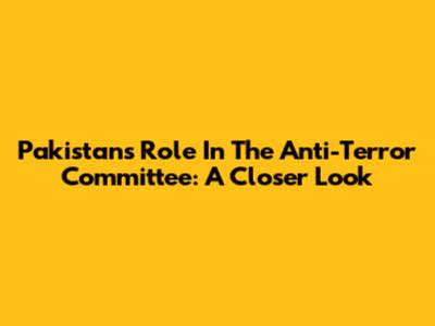 Pakistan's Role In The Anti-Terror Committee: A Closer Look