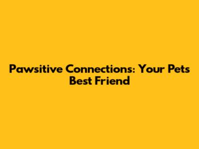 Pawsitive Connections: Your Pet's Best Friend