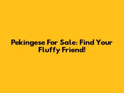 Pekingese For Sale: Find Your Fluffy Friend!