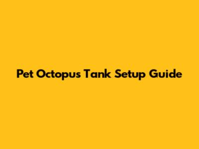 Pet Octopus Tank Setup Guide