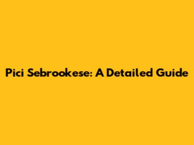 Pici Sebrookese: A Detailed Guide