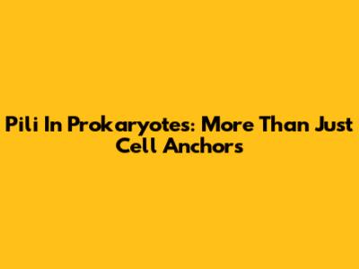 Pili In Prokaryotes: More Than Just Cell Anchors