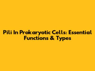 Pili In Prokaryotic Cells: Essential Functions & Types