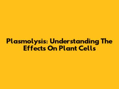 Plasmolysis: Understanding The Effects On Plant Cells